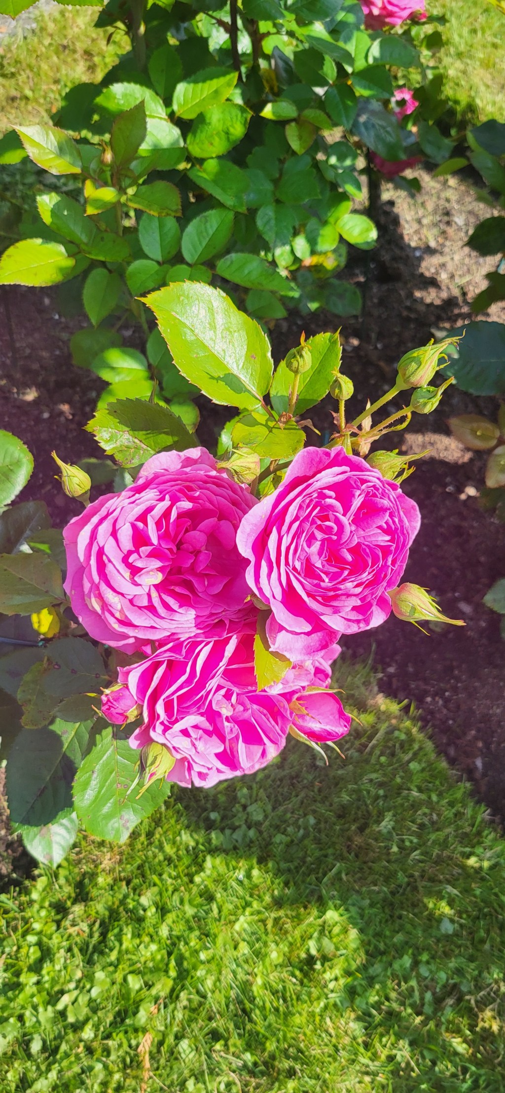 The rosary, writer’s block and&nbsp;trust